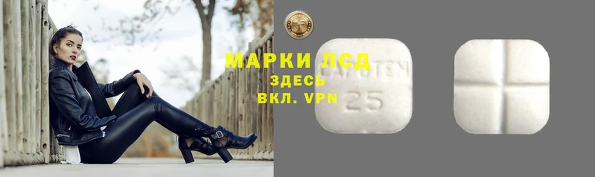 купить наркоту  Пучеж  Лсд 25 экстази ecstasy 